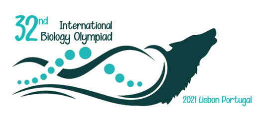 Ein großartiger Erfolg für das deutsche Nationalteam bei der IBO Challenge 2021!